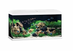 Juwel akvarium Primo 110 v2 - 81cm hvid akvarie startsæt